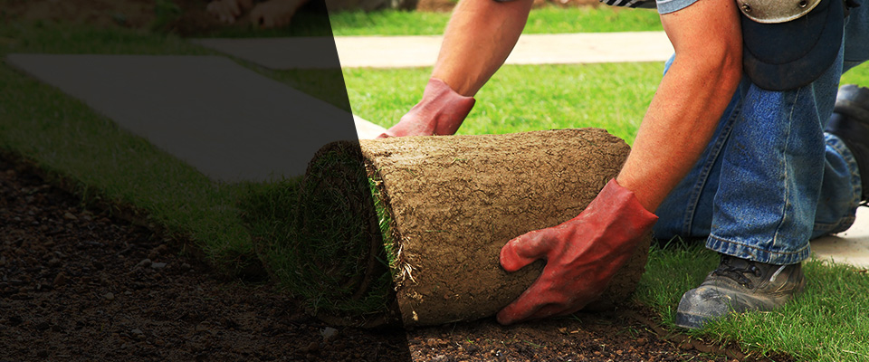 New Freedom Landscapers